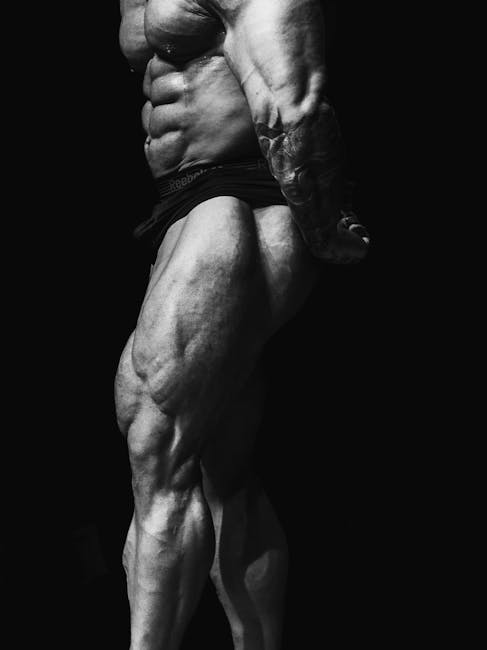 Detailed muscular leg development